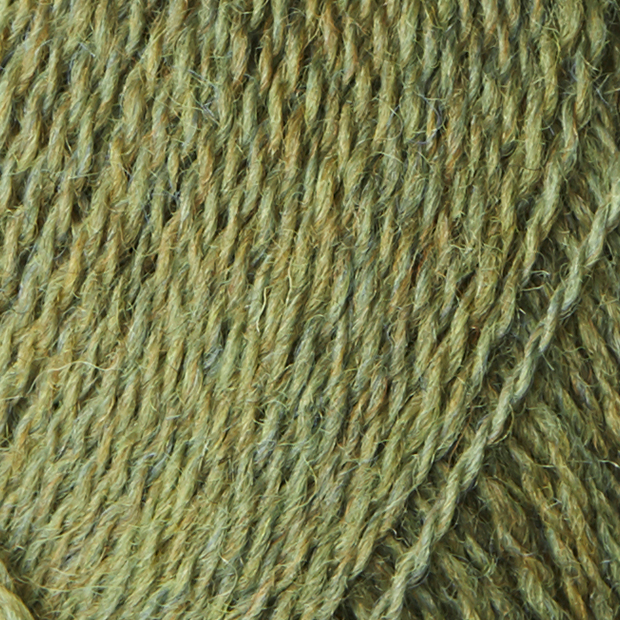 Moss