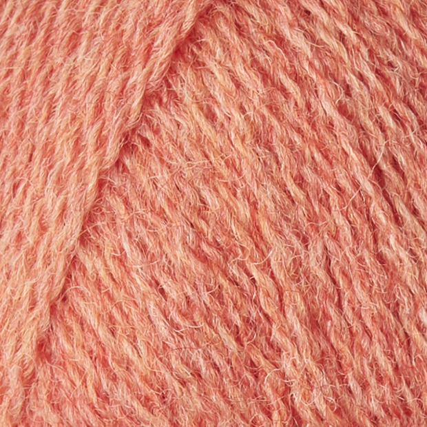 Rhubarb